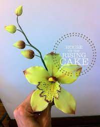 Gumpaste Cymbidium Orchid With Buds By Houseoftherisingcake Clay Flowers Sugar Flowers Fondant Flowers