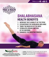 Shalabhasana Health Benefits Yoga Benefits Yoga Help Yoga For Men