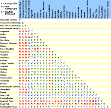 Cichlid Compatibility Chart