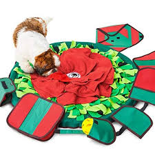 If you're looking for the best of the best in dog toys for 2020, this list has you covered. 11 Best Toys For Border Collies Reviewed In 2020 Dogstruggles Dog Puzzle Toys Pet Supplies Dog Enrichment