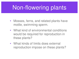 They are predominantly aquatic, occur bot in marine as well as in fresh water habitats. Ppt Plant Reproduction Powerpoint Presentation Free Download Id 1398395