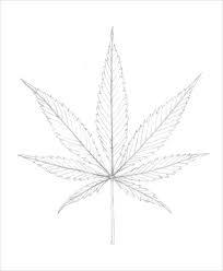 Practice is a vital part of perfecting your drawing skills. Weed Leaf Pencil Drawing Bestpencildrawing
