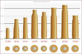 Rifle Cartridge Sizes Chart Www Bedowntowndaytona Com