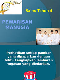 Organ yang terlibat semasa pernafasan: Pewarisan Manusia