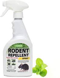 If there are already mice in your car, you can honk the horn and turn up the heat to get them out of the. Amazon Com Harris Peppermint Oil Mice Rodent Repellent Spray For House And Car Engines Humane Mouse Trap Substitute 20oz Garden Outdoor