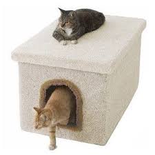 Millers Cats Cat Litter Box Enclosures Petsmart Cat Training Litter Box Kitten Furniture Cat Litter Box