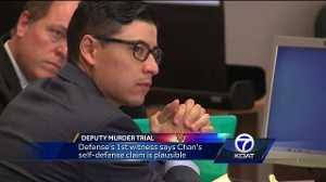 Defense's 2nd witness claims Chan had a BAC of .24