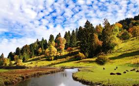 Maybe you would like to learn more about one of these? Peaceful Nature Wallpapers Top Free Peaceful Nature Backgrounds Wallpaperaccess