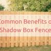 Cedar board and batten fence. 1
