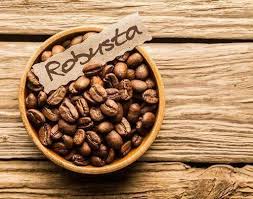 Coffee is a plant (coffea) and the name of the drink that is made from this plant. Because Of Coffee S Economic Importance Kabalega African Coffee Initiative Facebook