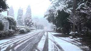 Existe uma pluviosidade significativa ao longo do ano em gramado. Pin Em Gramado Rs