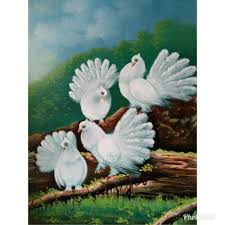 Sketsa gambar burung yang dapat anda gambar adalah sketsa burung hantu. Lukisan Burung Merpati