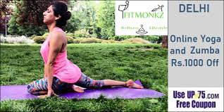 Pink=accessible to all blue=accessible & challenging. Fitmonkz Online Yoga Classes Zumba Courses Offers Coupons Fees Rates 2021