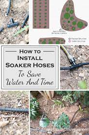 How much water does my tree need? How To Install Soaker Hoses To Save Water And Time Want To Have An Automatic Watering System For Garden Watering System Soaker Hose Automatic Watering System