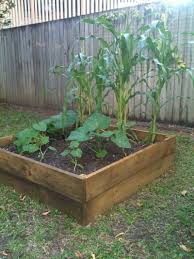 Maybe you would like to learn more about one of these? Companion Planting For Sweet Corn Insteading