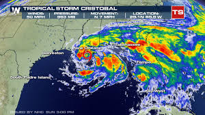 5,435 likes · 3 talking about this. Cristobal Makes Landfall On Louisiana Coast Weathernation