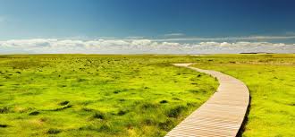 There are many different software packages which will merge your photos together to create a panoramic photo, including dedicated photo merging packages and general purpose photo editing packages with photo merging capability. Uber Simple Landscape Photography Tips You Can Perfect Today Light Stalking