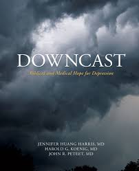 نتیجه جستجوی لغت [downcast] در گوگل