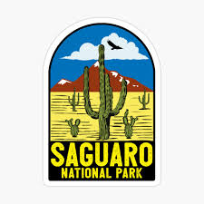 In average years, the flowering occurs between. Saguaro National Park Arizona Vintage Travel Phoenix Cowboy Wild West Saguaro Cactus Tucson Tempe Mesa Art Board Print By Myhandmadesigns Redbubble