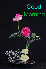 Check spelling or type a new query. Good Morning Flowers Images Home Facebook
