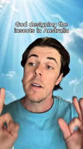 Does it bite or sting?? Yes. , #aussie #australia #insects #bugs #spiders