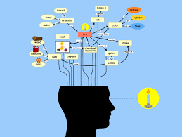 Image result for concept map