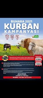 Pada kesempatan kali ini admin akan sedikit berbagi mengenai contoh pamflet. Buhara Avusturya Photos Facebook