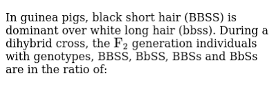 Homozygous b.heterozygous c.dominant d.both homozygous and dominant. In Guinea Pig Black Short Hair Bbss Is Dominant Over White Hai