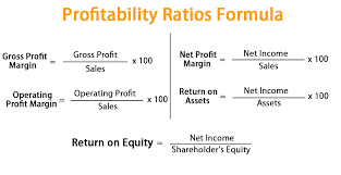 The index is a useful tool for ranking investment projects and showing the value created per unit of investment. What Is The Formula For Net Profit Ratio