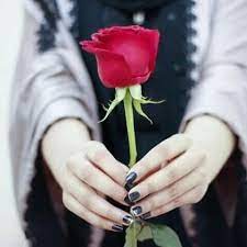 Pin By Eva On Everything Love Rose Flower Flowers Dp Beautiful Flowers