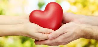 Blog: Entenda a diferença entre um amor e uma paixão para a vida de uma  pessoa | Sociedade Brasileira de Inteligência Emocional