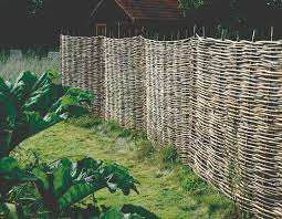 Then enjoy your colourful display as it grows up the trellis. Fence Panels Available From Charltons Timberstore