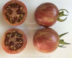 Whatever happened to the humblebee, the old name for the bumblebee, asked angus doulton of oxfordshire in a letter to the guardian last. Tomate Purple Bumble Bee Grungestreift Rotpurple 10 Samen Michis Tomatensamen