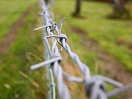 Galvanized Barbed Wire Sizes Single Strand And Double Strand