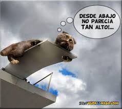 Resultat d'imatges de acrofobia