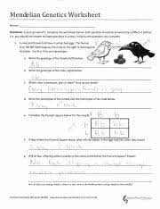 Mendel and basic genetics packet ws answers : 20170411111819059 Mendelian Genetics Worksheet Names Directions In Your Groups Of 2 Complete The Worksheet Below Each Question Should Be Answered Course Hero