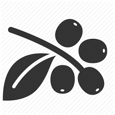 Download Coffee Bean Icon Png 274441 Free Icons Library