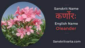 50 List Of Flowers Name In Sanskrit Language And Hindi With Pictures Sanskrit Learnsanskrit Sanskritvarta Flowers Sanskrit List Of Flowers Sanskrit Names
