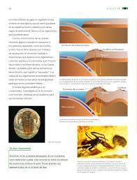 23 de abril de 2019 paginas: Ciencias Naturales Sexto Grado 2016 2017 Online Pagina 56 De 176 Libros De Texto Online