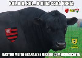 Polish cow in different languages meme. Index Of Galerias Wp Content Uploads 2019 12