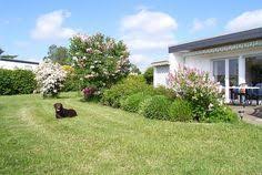 Ferienhauser Eingezaunter Garten Ferienhaus Hund Urlaub Mit Hund Ostsee