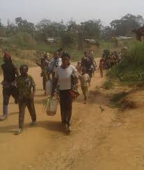 Today, codeco has diversified into other resistive fields as well. Ituri Following The Threat Of Codeco Militiamen Inhabitants Of Mungwalu Move To Bunia 24 News Agency