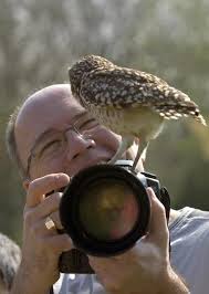 Watch The Birdie Hayvan Hayvanlar Owl