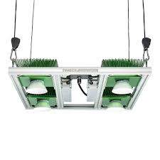 Timber Grow Lights Review Better Than Quantum Boards Grow Lights Led Grow Lights Grow Light Fixtures