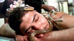 Command your snake and eat goodies to grow your tail and win the level. Massage Technique Using Snakes Might Not Be For Everybody Cnn Video