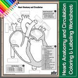 We did not find results for: Heart Anatomy Coloring Worksheets Teaching Resources Tpt