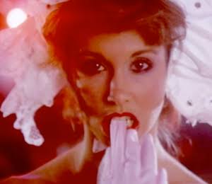 LAST HORROR FILM, THE (AKA FANATIC) | Troma