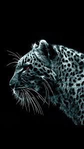 Iphone 5 Wallpapers Hd Leopard 01 Backgrounds Gatto Grande Carta Da Parati Con Animali Ghepardo Sfondo cucciolo di gatto gattino. pinterest