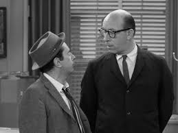 The Official Dick Van Dyke Show Book