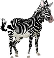 Zebra Png Clipart Png Image Zebra Clipart Zebras Zebras Animal